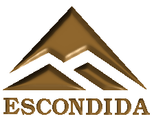 Logo escondida